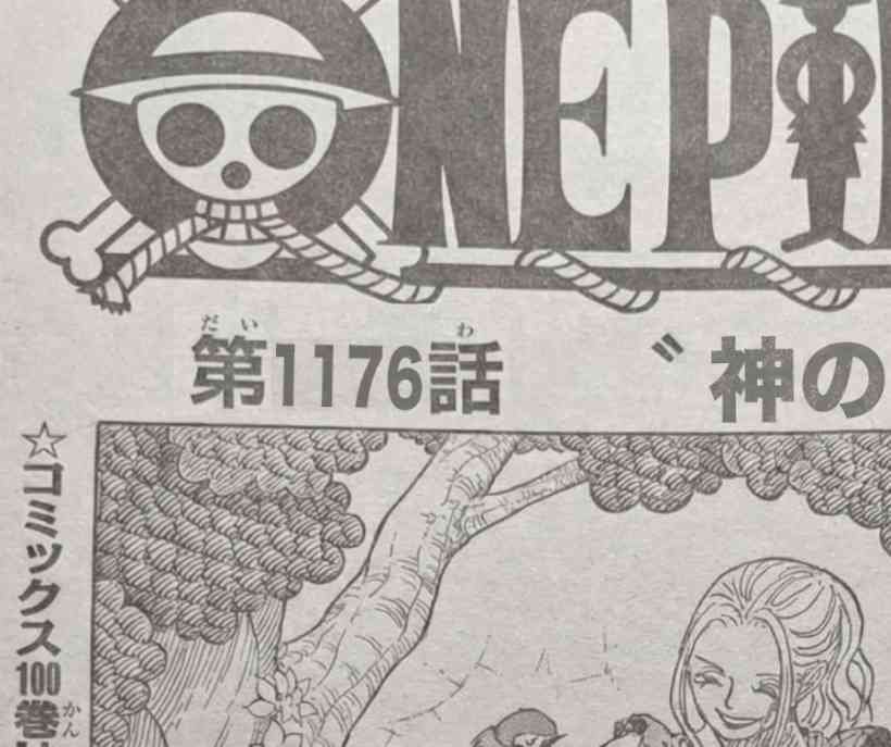 『ワンピース』1176話ネタバレ完全解説！誇り高き戦いと衝撃の展開が炸裂